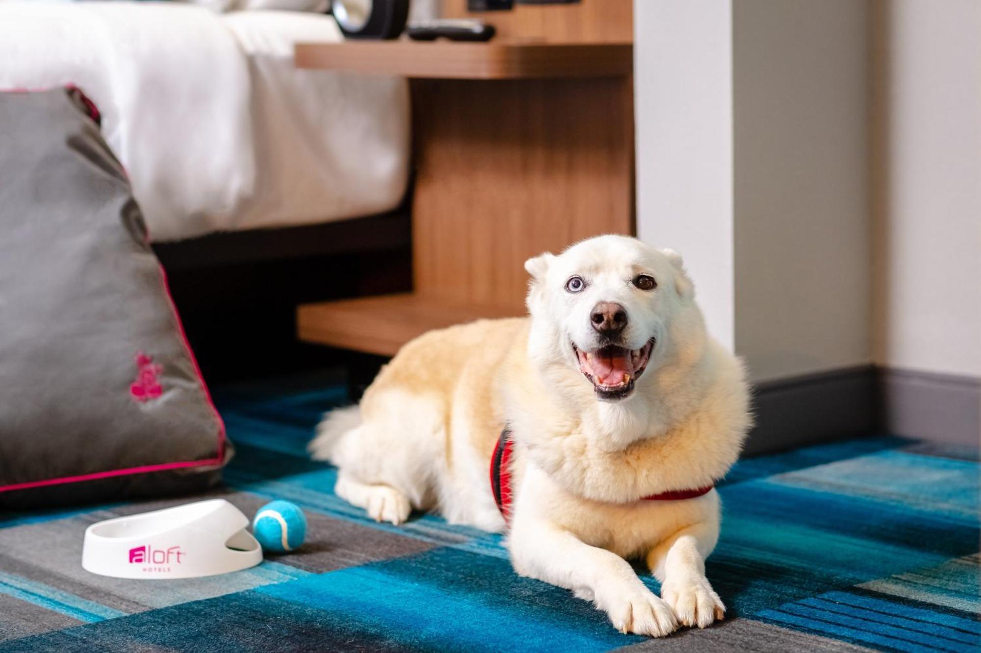 Aloft Columbia Harbison Hotel Bagian luar foto